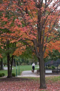 Fall Foliage in West Park