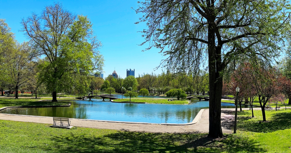 Lake Elizabether 